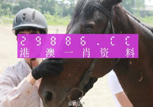 澳门今晚必中一肖一码_经典解答解释落实_完整版O9.2.6