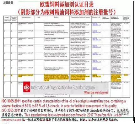 2024新澳正版免费资料大全_高效解答解释落实_高级版D5.1.1