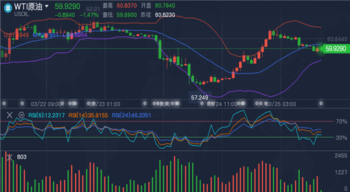 一码一肖100%的资料,质量解析解答解释策略_清新版D61.523