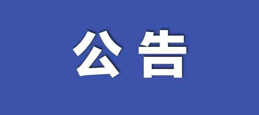 2024新澳门资料大全,前瞻性方案落实分析_典雅版N4.203