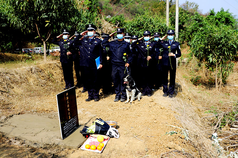 醉卧沙场醒 第2页