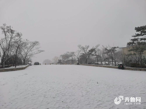 济南下雪啦,济南迎来了雪花