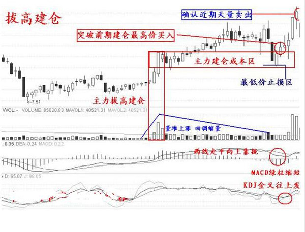 公务员炒股最新规定,“公务员涉股新规解读引关注”