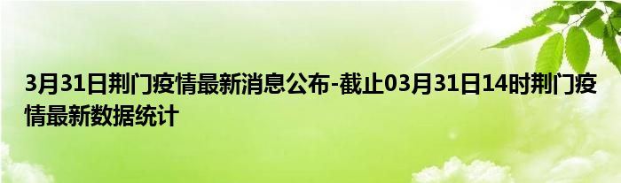 荆门疫情最新消息,荆门疫情动态速递。