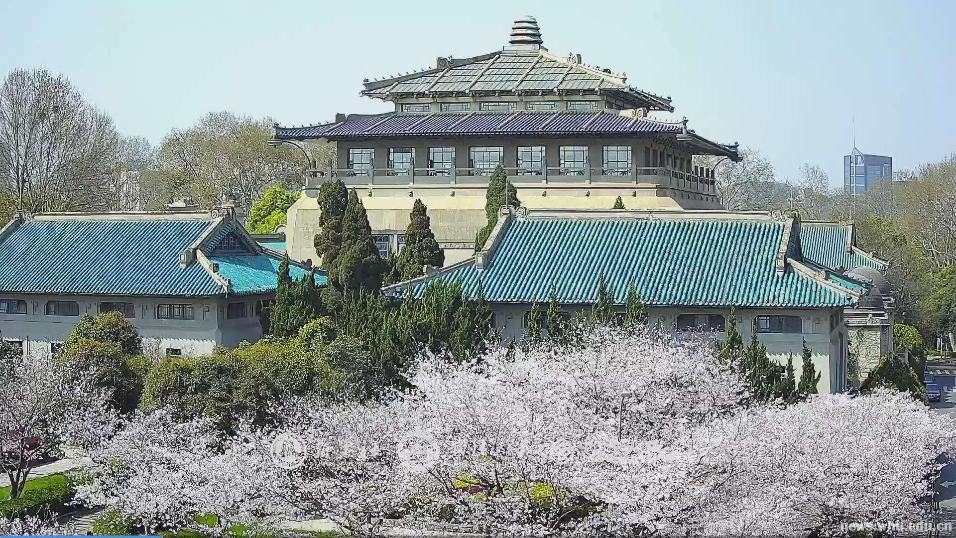 武汉大学最新消息,武汉大学最新资讯