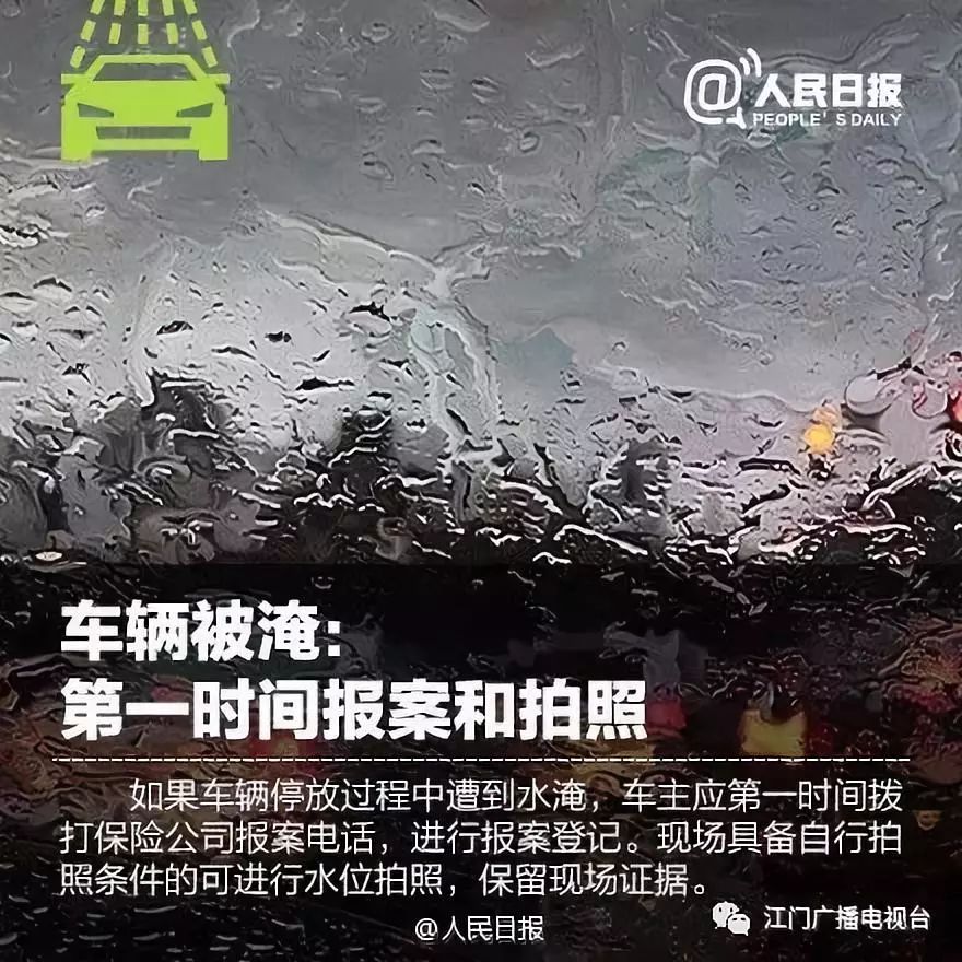 寒梅傲雪立枝头_2 第2页