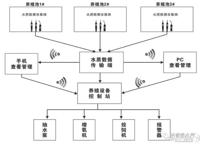 秋水盈盈波 第2页