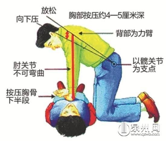 胸外心脏按压最新标准,更新版心肺复苏术新标准发布