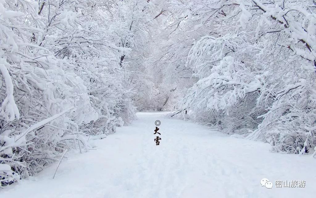 东北大雪最新,雪覆东北大地，最新雪情速递。