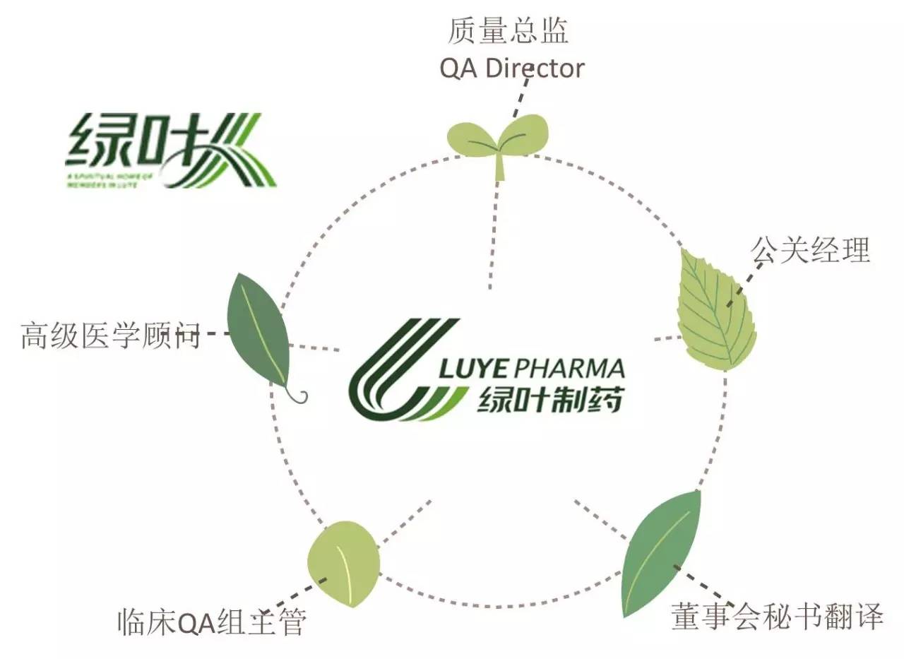 烟台绿叶制药最新招聘,烟台绿叶制药发布最新一轮高薪诚聘公告。