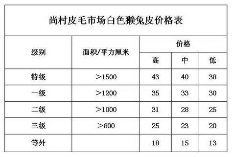 河北尚村獭兔最新价格,河北尚村獭兔市场报价持续更新。