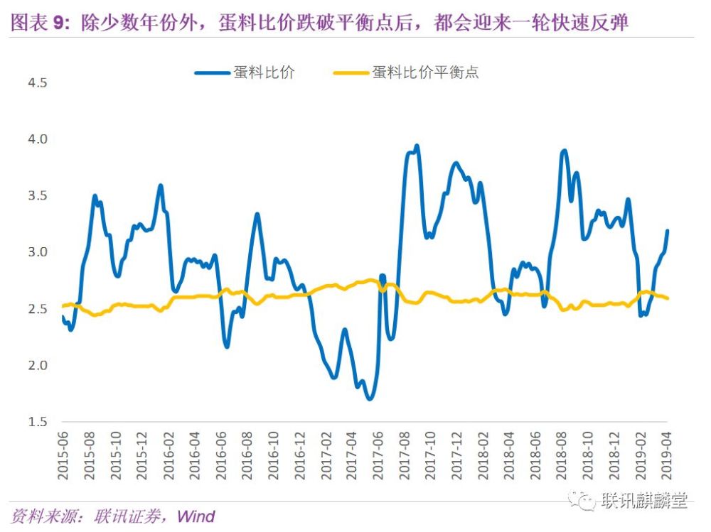 揭秘2023年巢湖鸡蛋最新价格波动背后的原因与市场趋势，快来探索！