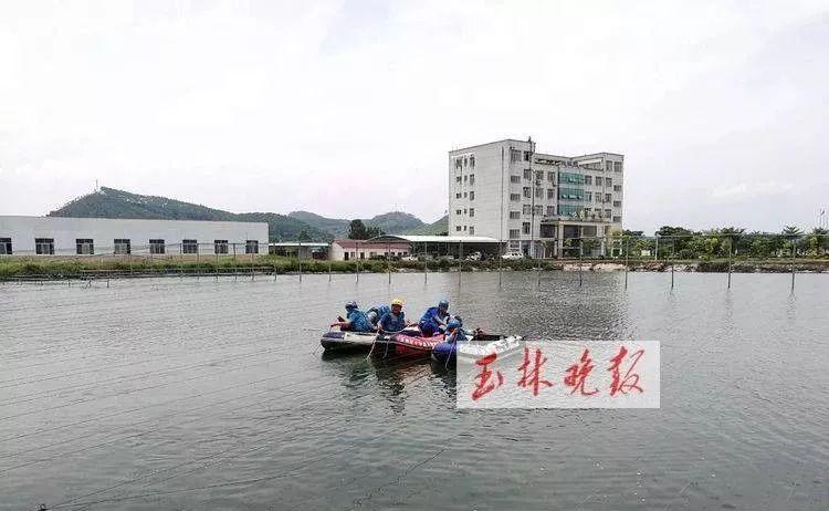 北流溺水最新新闻,北流水域发生溺水事件最新报道