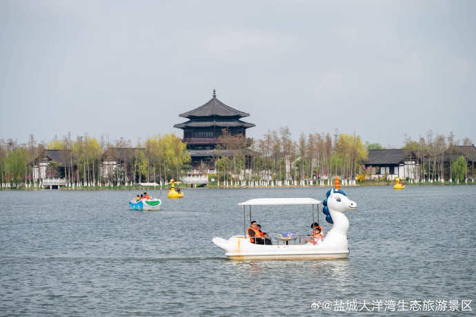 盐城大洋湾最新动态,盐城大洋湾最新资讯