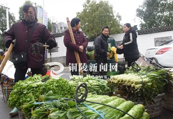 红花镇最新蔬菜批发,红花镇最新鲜蔬菜批发资讯