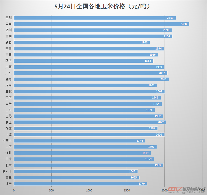 河南省玉米价格最新行情,河南玉米市场实时价格动态