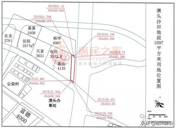 泰达红树湾最新动态,泰达红树湾最新资讯速递