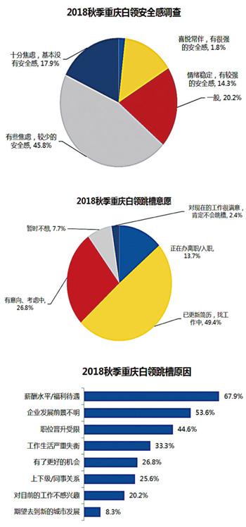 枞阳县人事变动最新资讯