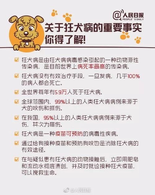 最新狂犬病疫苗新闻，狂犬疫苗最新资讯