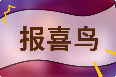 领投鸟最新事件｜领投鸟最新动态揭秘