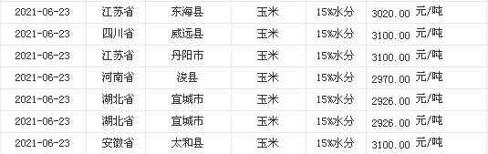 今日玉米市场最新价格资讯