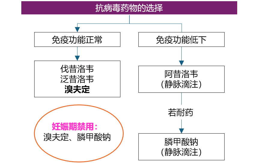 最新疱疹病毒治疗药物解析